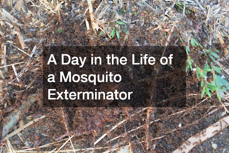 A Day in the Life of a Mosquito Exterminator